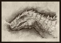 Dragon Sketch